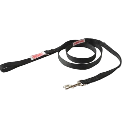 Dog Leash